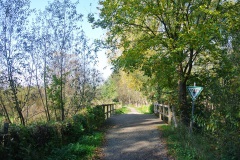 Tiefwerder-Wiesen-WalkYourDog-1