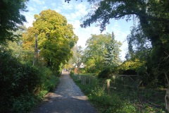 Tiefwerder-Wiesen-WalkYourDog-10
