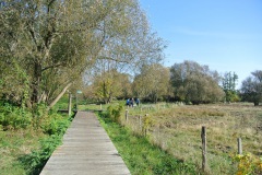 Tiefwerder-Wiesen-WalkYourDog-5