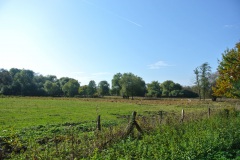 Tiefwerder-Wiesen-WalkYourDog-6