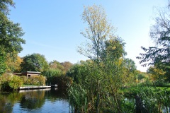 Tiefwerder-Wiesen-WalkYourDog-7