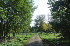 Tiefwerder-Wiesen-WalkYourDog-8