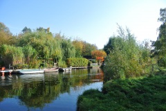 Tiefwerder-Wiesen-WalkYourDog-9