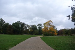 Treptower-Park-WalkYourDog-1