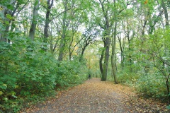 Treptower-Park-WalkYourDog-10