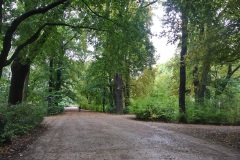 Treptower-Park-WalkYourDog-2