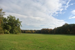 Treptower-Park-WalkYourDog-5