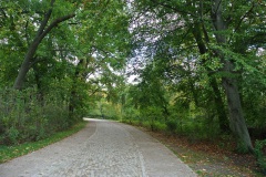 Treptower-Park-WalkYourDog-9