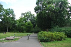 Viktoriapark-WalkYourDog-1