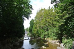 Viktoriapark-WalkYourDog-2