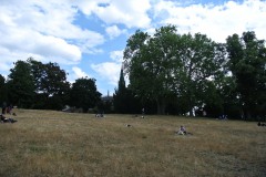 Viktoriapark-WalkYourDog-5