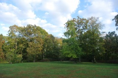 Volkspark-Friedrichshain-WalkYourDog-10