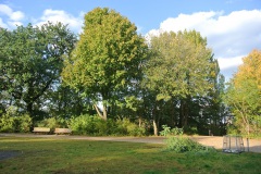 Volkspark-Friedrichshain-WalkYourDog-5