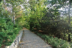 Volkspark-Friedrichshain-WalkYourDog-6