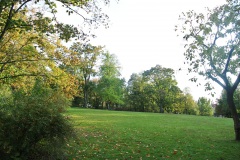 Volkspark-Friedrichshain-WalkYourDog-9