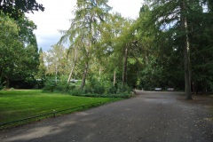 Volkspark-Humboldthain-WalkYourDog-1