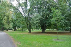 Volkspark-Humboldthain-WalkYourDog-2