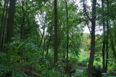 Volkspark-Humboldthain-WalkYourDog-4