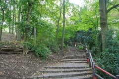 Volkspark-Humboldthain-WalkYourDog-5