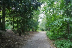 Volkspark-Humboldthain-WalkYourDog-6