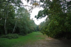 Volkspark-Humboldthain-WalkYourDog-7