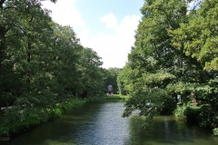 Volkspark-Jungfernheide-10