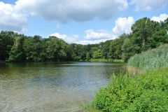 Volkspark-Jungfernheide-4