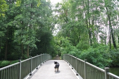 Volkspark-Jungfernheide-9