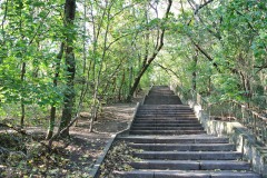 Volkspark-Prenzlauer-Berg-WalkYourDog-1