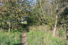 Volkspark-Prenzlauer-Berg-WalkYourDog-5