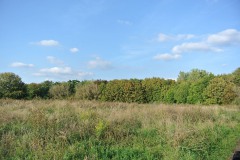 Volkspark-Prenzlauer-Berg-WalkYourDog-6