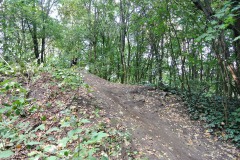 Volkspark-Prenzlauer-Berg-WalkYourDog-7