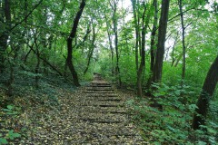Volkspark-Prenzlauer-Berg-WalkYourDog-8