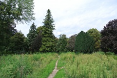 Volkspark-Rehberge-Berlin-1
