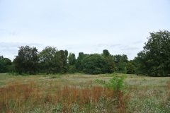 Volkspark-Rehberge-Berlin-2