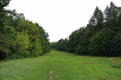 Volkspark-Rehberge-Berlin-4