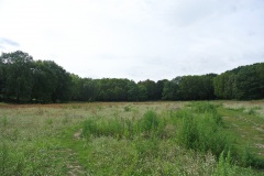 Volkspark-Rehberge-Berlin-7