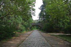 Volkspark-Rehberge-Berlin-8