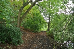 Volkspark-Schoeneberg-WalkYourDog-10