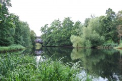 Volkspark-Schoeneberg-WalkYourDog-11