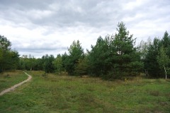 Volkspark-Wuhlheide-WalkYourDog1