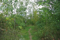 Volkspark-Wuhlheide-WalkYourDog3