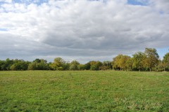 Volkspark-Wuhlheide-WalkYourDog4