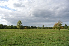 Volkspark-Wuhlheide-WalkYourDog7