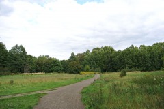 Volkspark-Wuhlheide-WalkYourDog9