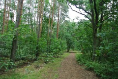 Volkspark-Wuhlheide-WalkYourDog99