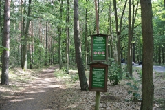 Waldgebiet-Frohnau-1