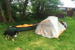 Wasserwandern-WalkYourDog-1
