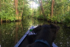 Wasserwandern-WalkYourDog-12
