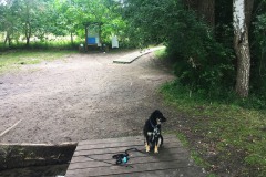 Wasserwandern-WalkYourDog-15